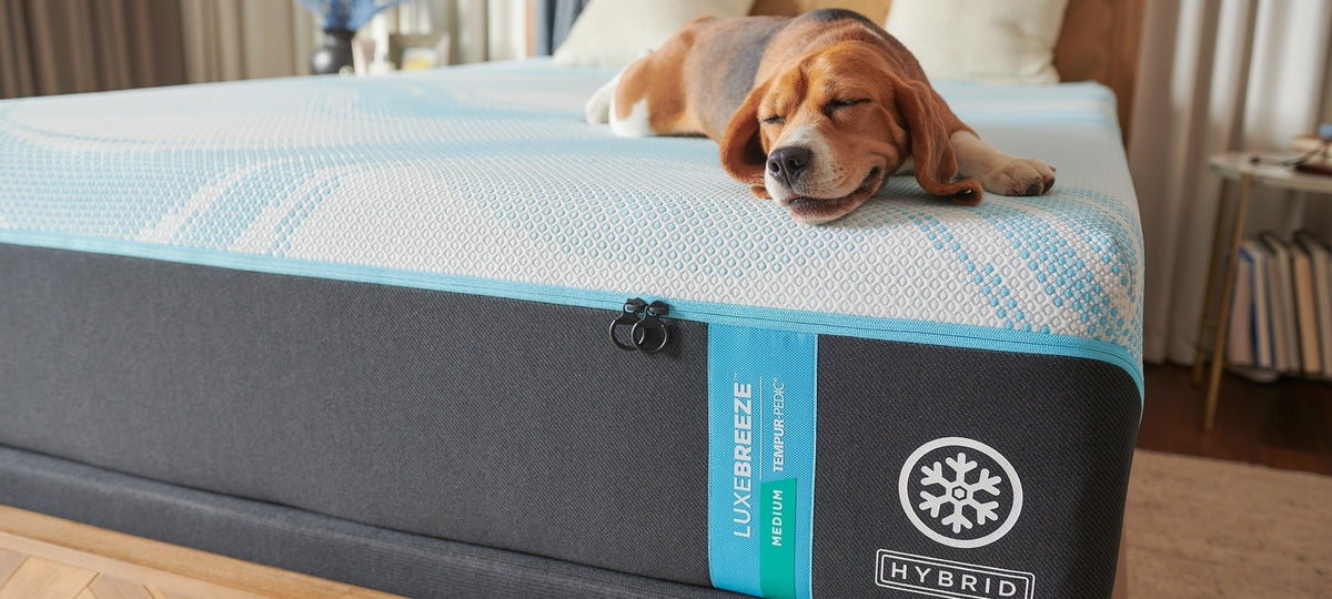 Tempur-Pedic LuxeBreeze 2.0 Medium Hybrid mattress cover and Hybrid label detail; photographed size may differ from King